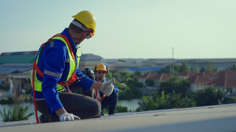 Best Roof Coating and Sealing  in Isla Vista, CA