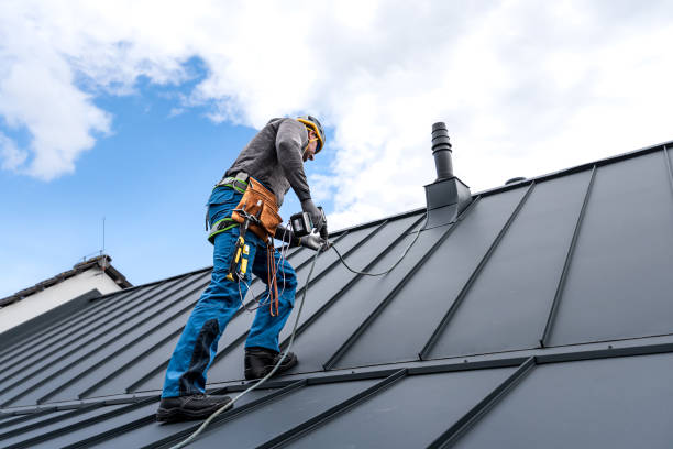 Best Sheet Metal Roofing  in Isla Vista, CA